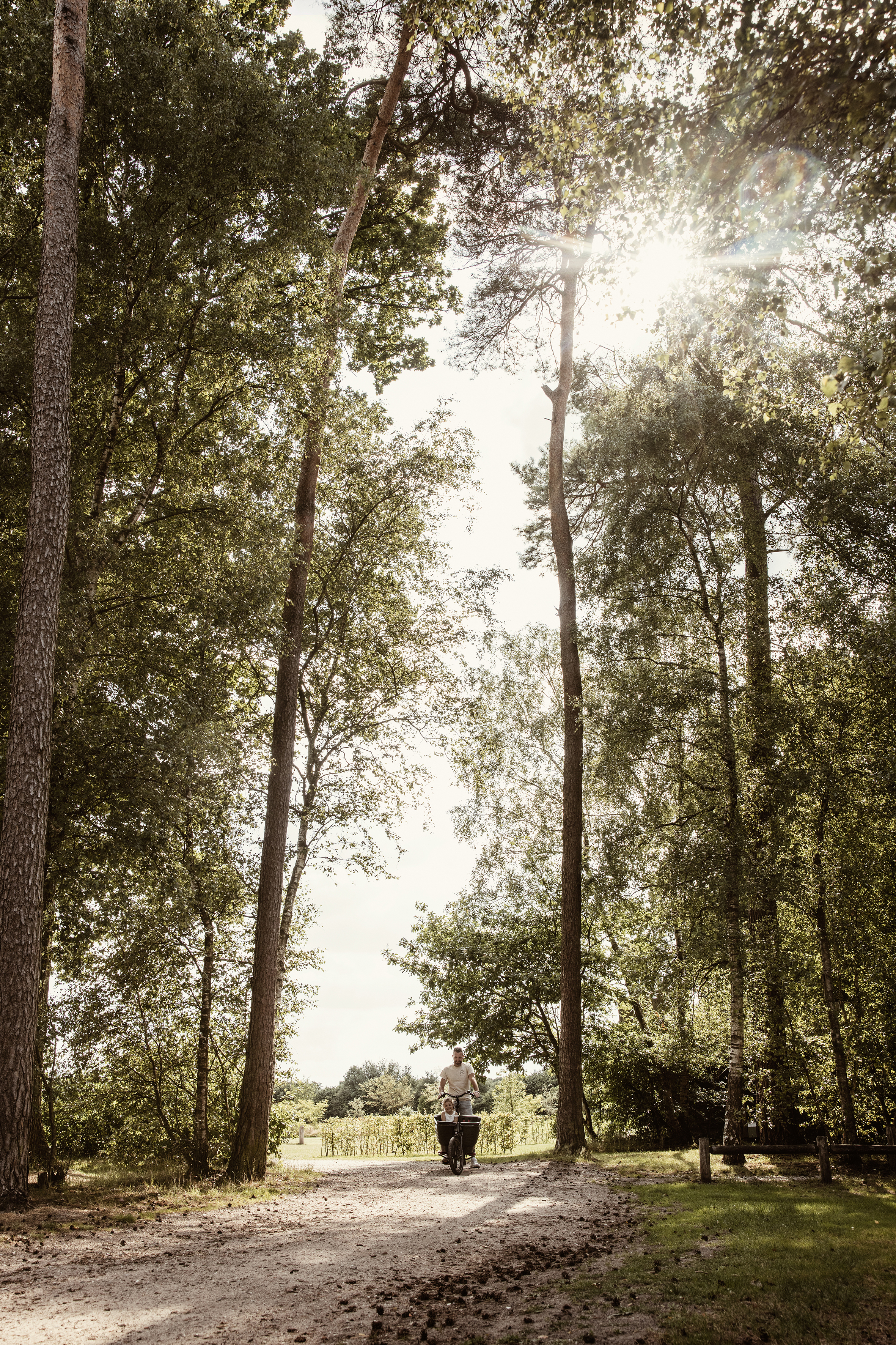 Camping De Kleine Wolf